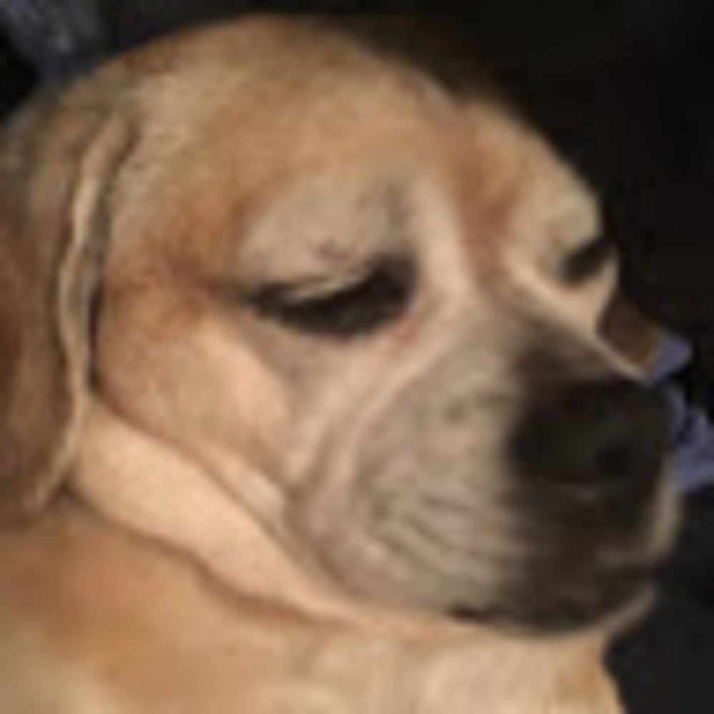 Meet your Posher, Corinne